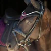 Equestrian Stockholm Ear Bonnet Modern