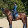 Equestrian Stockholm Dressage Saddle Pad - Image 5