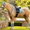 Loire Classic Dressage Square Aqua - Image 5