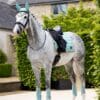 Loire Classic Dressage Square Aqua - Image 3